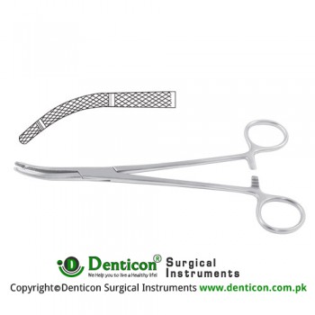 Heaney Hysterectomy Forcep Curved - 2 Teeth Stainless Steel, 24 cm - 9 1/2"